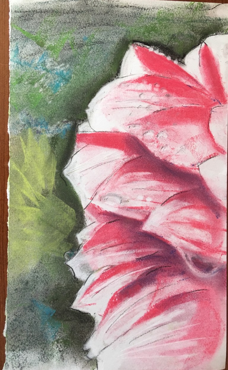 D42927D1-90B7-49B6-8622-E55CE4D50D15