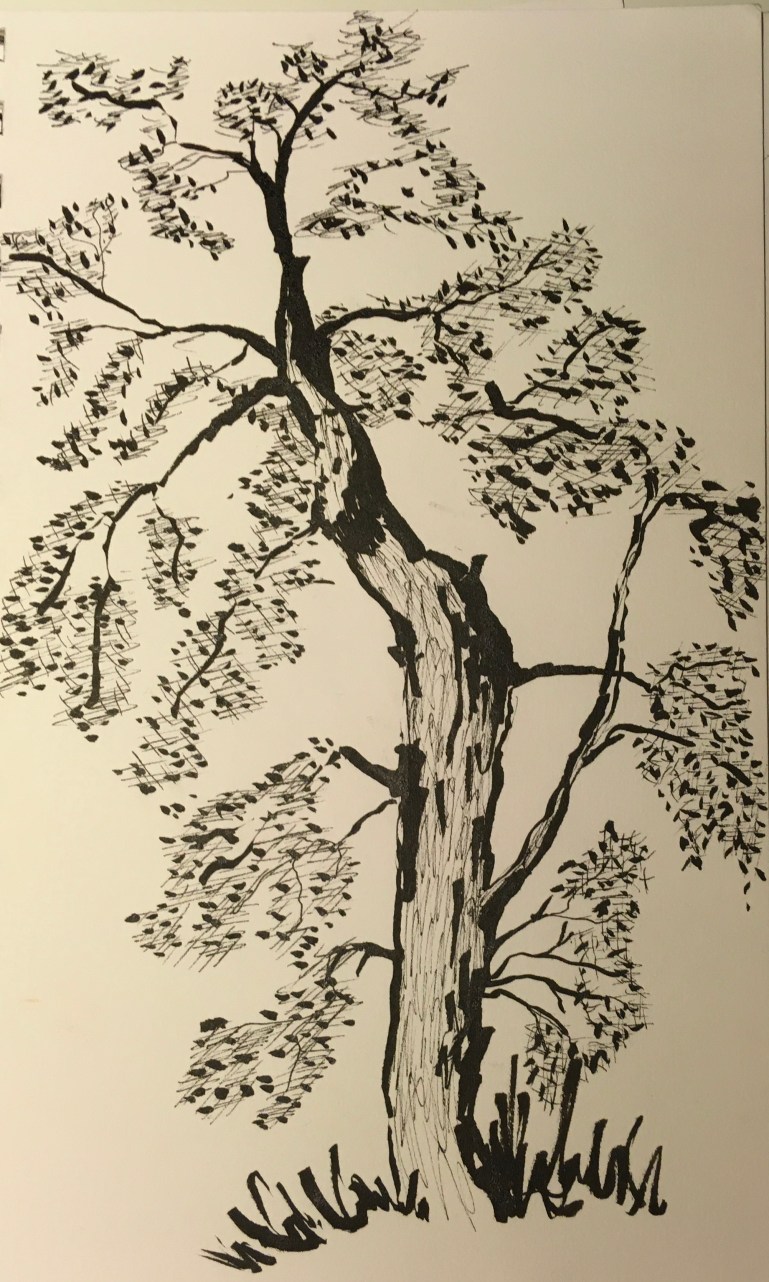 8FE8312D-B202-4F57-BDB4-C81A7F48661C